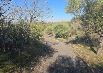 25.jpg - Terreno edificabile Via Gran Bretagna, Camporotondo Etneo - foto 25