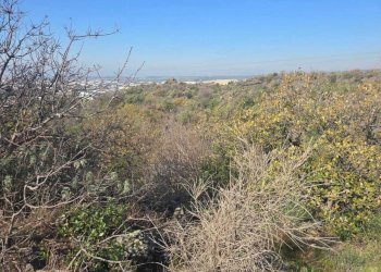 26.jpg - Terreno edificabile Via Gran Bretagna, Camporotondo Etneo - foto 26