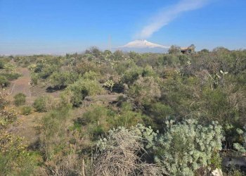 27.jpg - Terreno edificabile Via Gran Bretagna, Camporotondo Etneo - foto 27