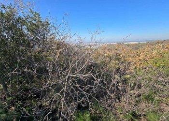 29.jpg - Terreno edificabile Via Gran Bretagna, Camporotondo Etneo - foto 29