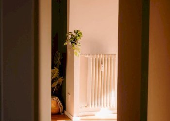 Trilocale Torino (zona Cenisia) - foto 22