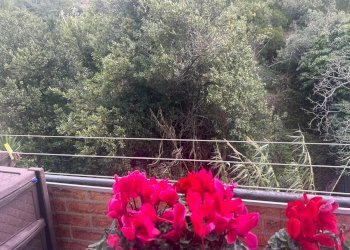 Three-room apartment Via Tenda, Ventimiglia - photo 3