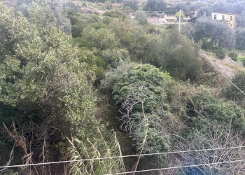 Three-room apartment Via Tenda, Ventimiglia - photo 10