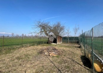Three-room apartment Via Gerbido, San Francesco al Campo - photo 4