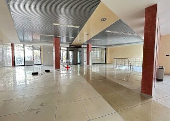 Negozio Milano (zona Lambrate) - foto 6