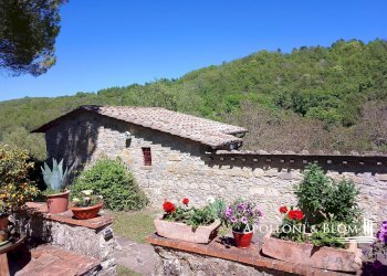 Casale Località Marciano, 1, Castellina in Chianti - photo 28