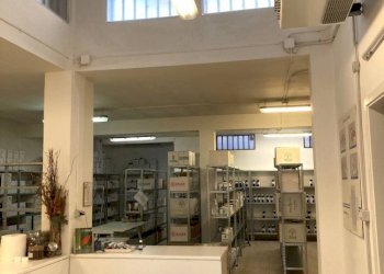 Magazzino Trofarello - foto 12