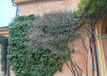 Rustic Corte de' Cortesi con Cignone - photo 17