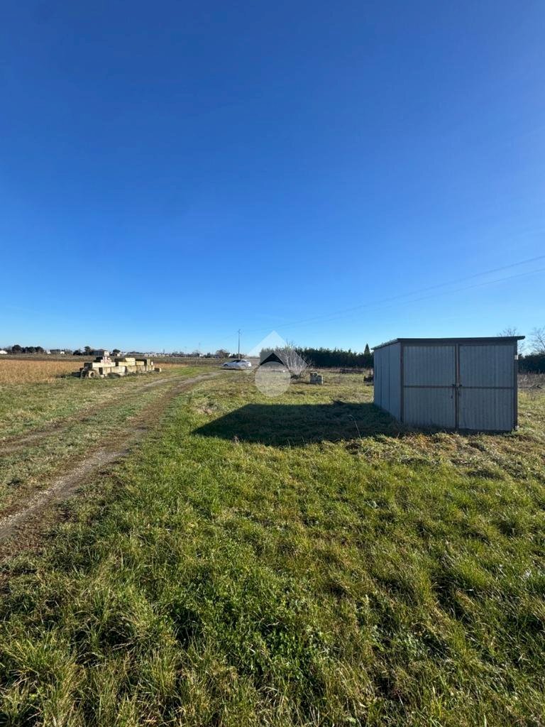 Terreno agricolo Via Carlona, Cesenatico - foto 1