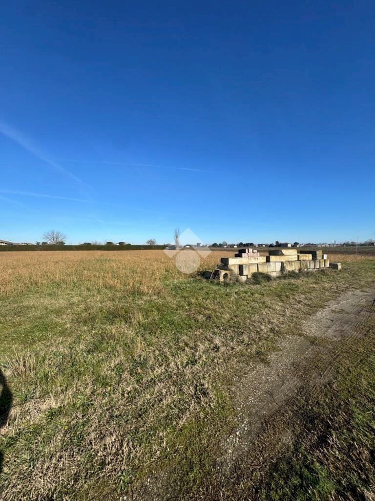 Terreno agricolo Via Carlona, Cesenatico - foto 3