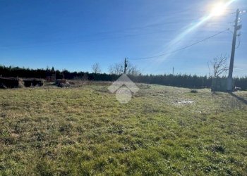 Terreno agricolo Via Carlona, Cesenatico - foto 2