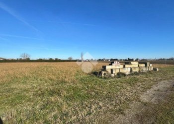 Terreno agricolo Via Carlona, Cesenatico - foto 3