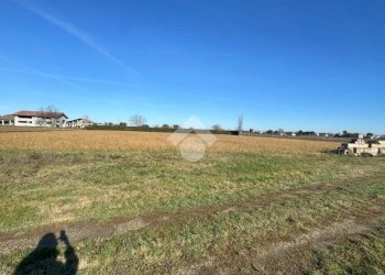 Terreno agricolo Via Carlona, Cesenatico - foto 8