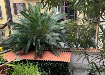 Bilocale Via Sebenico, Milano (zona Isola) - foto 18