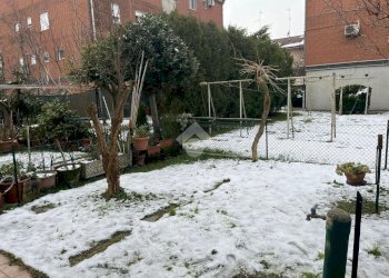 Villa a Schiera Via dei Ciliegi, Ravenna (zona Ponte Nuovo) - foto 15