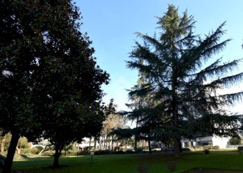 Bilocale Via Massimo D'Azeglio, Rozzano - foto 27