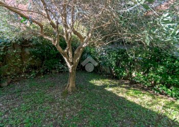 Villa Trifamiliare Corso Luigi Manacorda, Casale Monferrato - foto 4