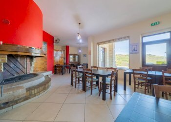 Foto 7 - Azienda agricola VIA VILIGNINA
50, Vasto - foto 7