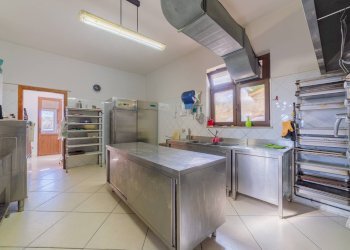 Foto 13 - Azienda agricola VIA VILIGNINA
50, Vasto - foto 13