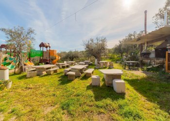 Foto 18 - Azienda agricola VIA VILIGNINA
50, Vasto - foto 18