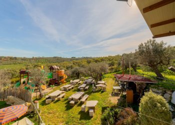 Foto 46 - Azienda agricola VIA VILIGNINA
50, Vasto - foto 46