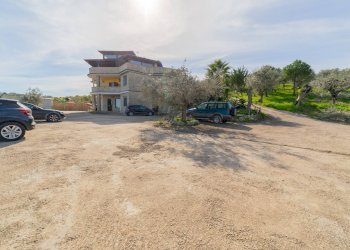 Foto 50 - Azienda agricola VIA VILIGNINA
50, Vasto - foto 50