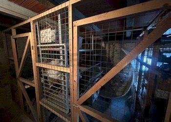 Dispensa di stoccaggio - Trilocale VIA VIGGIU'
 
18, Saltrio - foto 32