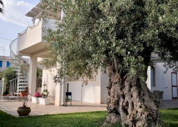 Giardino - Villa Via dell Oasi contrada Reitani
 
2, Noto - foto 21