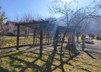 Giardino - Casa semi indipendente Murialdo - foto 11