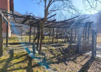 Giardino - Casa semi indipendente Murialdo - foto 14