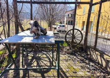 Terrazza - Casa semi indipendente Murialdo - foto 24