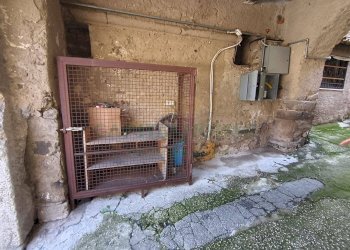 Foto 16 - Locale Commerciale Piazza bronzetti, Castel Morrone - foto 16