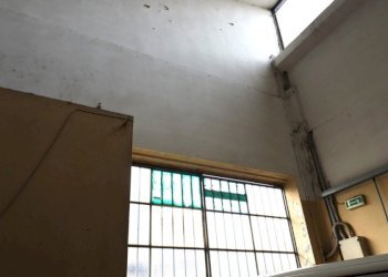 Capannone via Puccini, Castenaso - foto 13