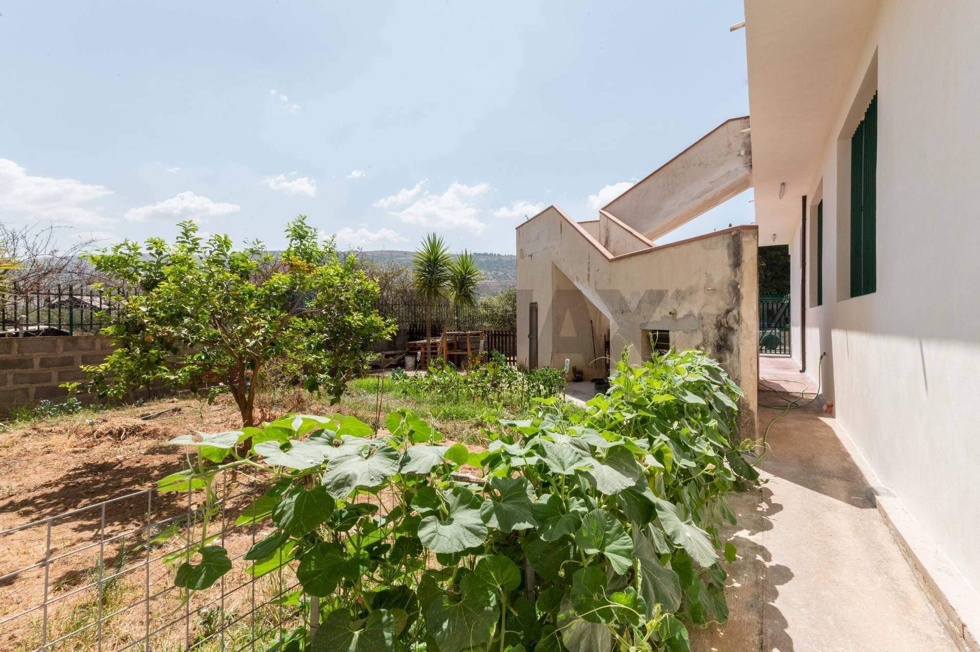 Giardino - Casa indipendente Contrada Vigna del conte, Comiso - foto 3