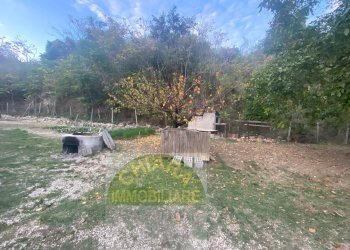 Foto 24 - Casa indipendente Contrada Selva, Gissi - foto 24