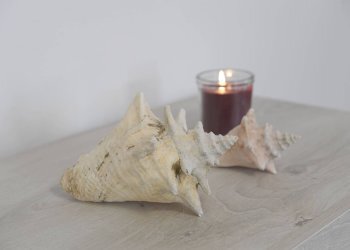 Foto 43 - Villa a Schiera Via dei Pini
 
22, Gallipoli - foto 43