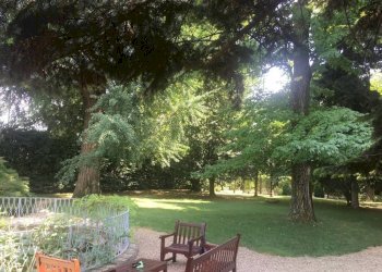 Giardino - Appartamento strada Maiole, 32, Moncalieri - foto 19