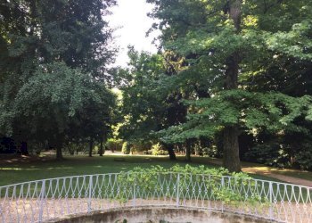 Giardino - Appartamento strada Maiole, 32, Moncalieri - foto 20