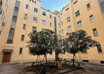 Cortile interno - Appartamento via Apuania, Roma - foto 33