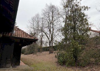 giardino_est_img_0711 - Casa indipendente strada PALAZZO BORELLO, 6, Montafia - foto 24