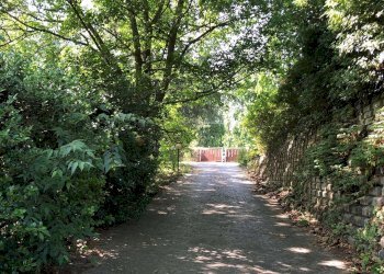 ingresso auto_img_0389 - Casa indipendente strada PALAZZO BORELLO, 6, Montafia - foto 28