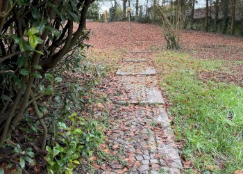 ingresso3_img_0712 - Casa indipendente strada PALAZZO BORELLO, 6, Montafia - foto 33