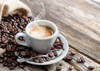 Altro - Bar Tavola Calda - Fredda Nizza Monferrato - foto 1