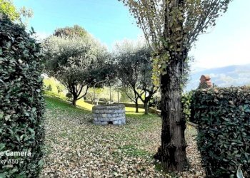 Villa via Antonietta Massuccone Mazzini, Genova (zona Bolzaneto) - foto 6