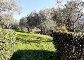 Villa via Antonietta Massuccone Mazzini, Genova (zona Bolzaneto) - foto 41