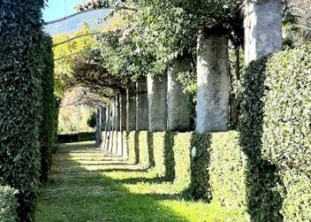 Villa via Antonietta Massuccone Mazzini, Genova (zona Bolzaneto) - foto 44