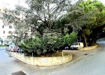 Trilocale viale Villa Gavotti, 52, Genova (zona Pegli) - foto 30