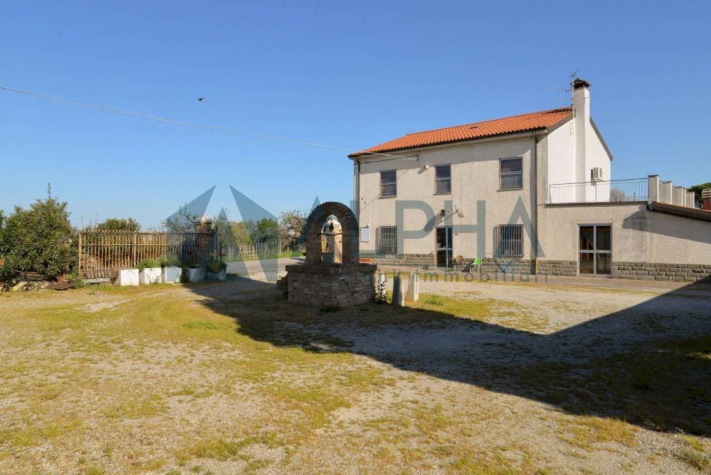 Terreno - Rustico via Nuova, Bertinoro - foto 1