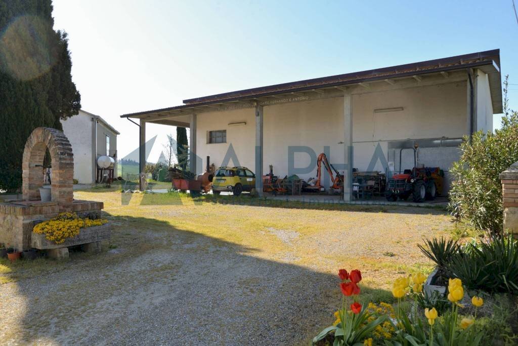 Giardino - Rustico via Nuova, Bertinoro - foto 3