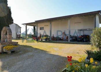 Giardino - Rustico via Nuova, Bertinoro - foto 3